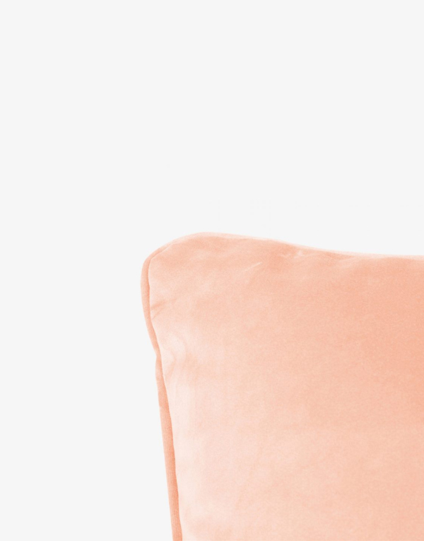 Velvet vintage peach cushion